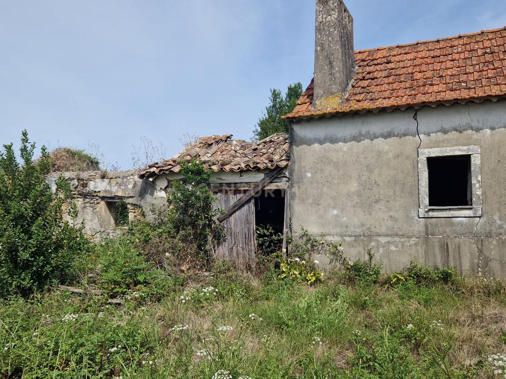 Fantástica Casa de Pedra - Colmeias - Image 3