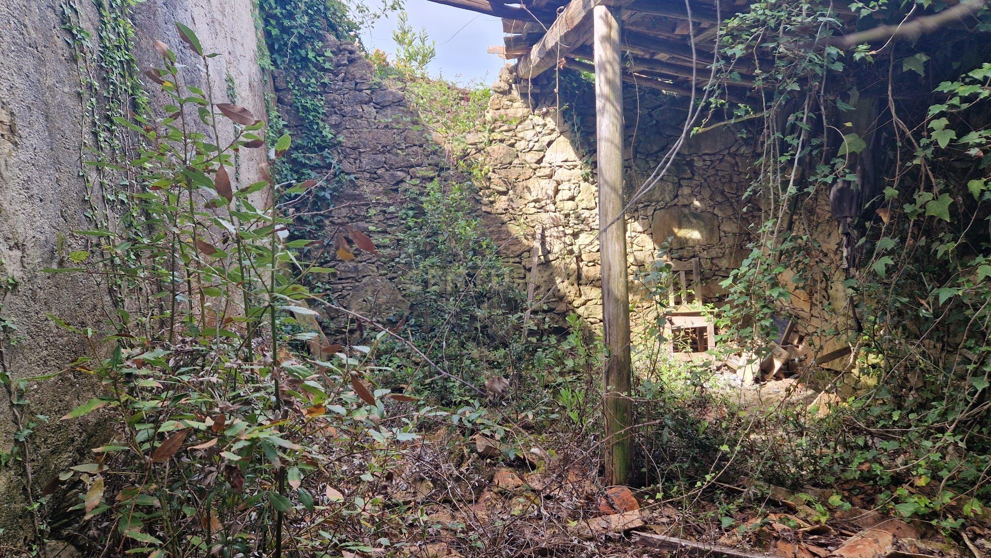 Fantástica Casa de Pedra - Colmeias - Image 14
