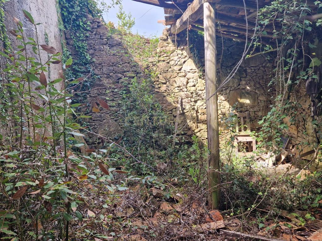 Fantástica Casa de Pedra - Colmeias - Image 14