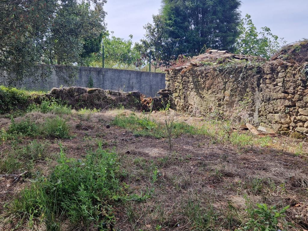 Fantástica Casa de Pedra - Colmeias - Image 12