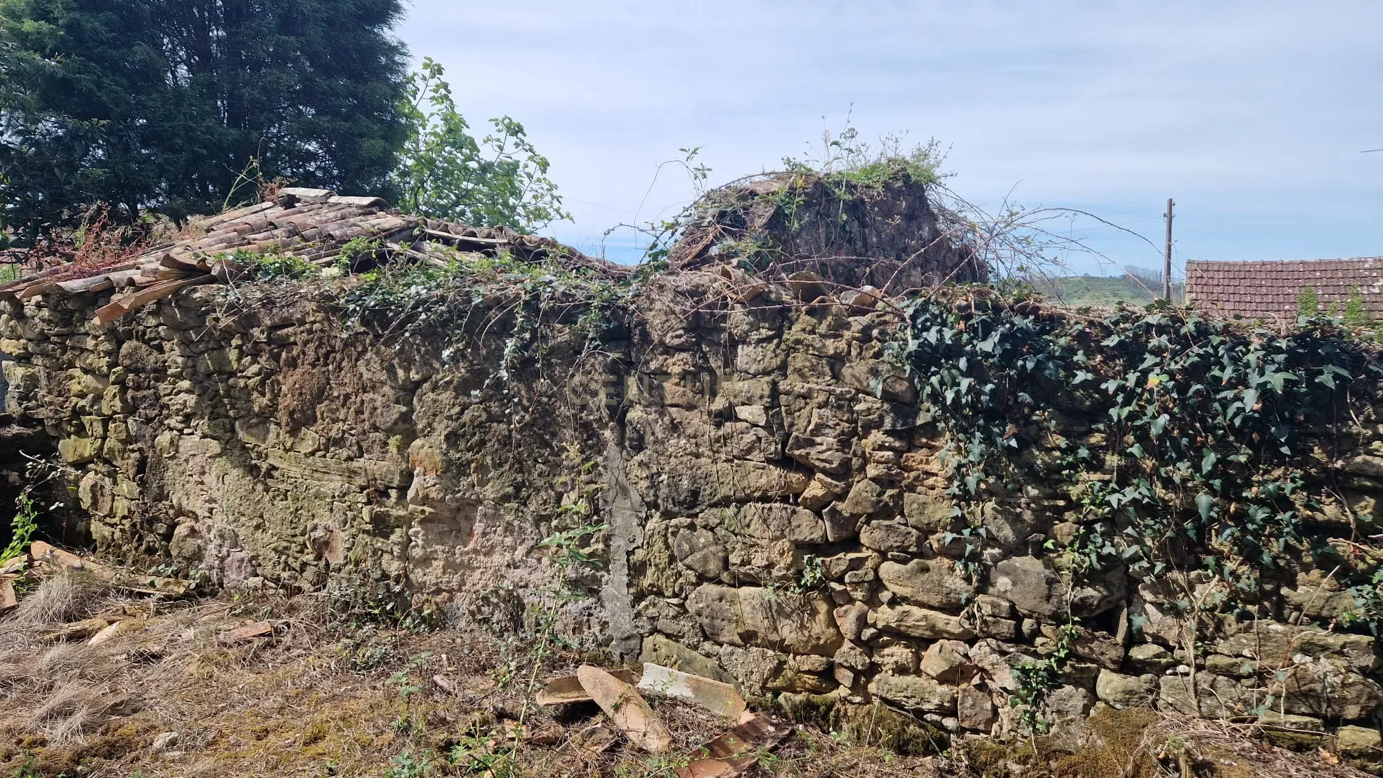 Fantástica Casa de Pedra - Colmeias - Image 16