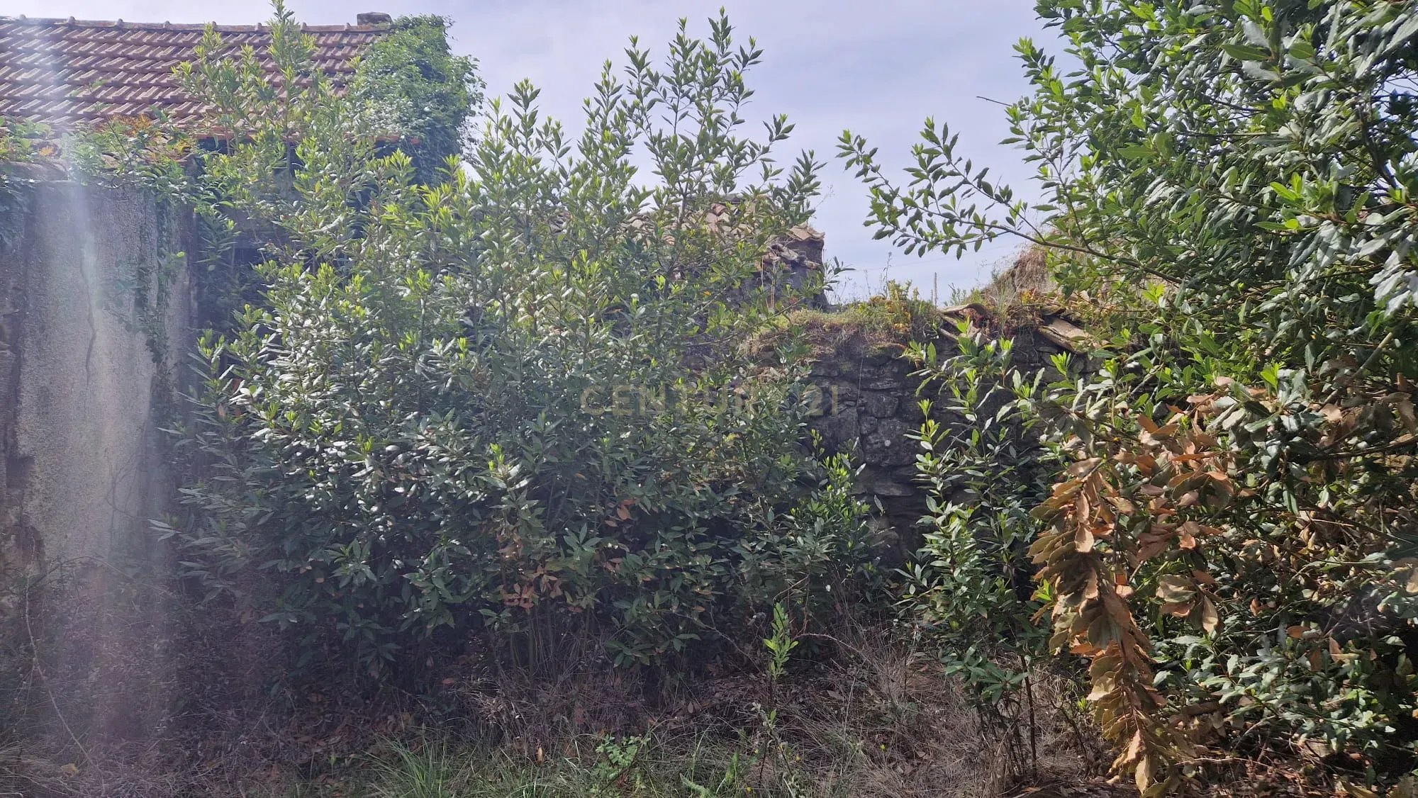 Fantástica Casa de Pedra - Colmeias - Image 19