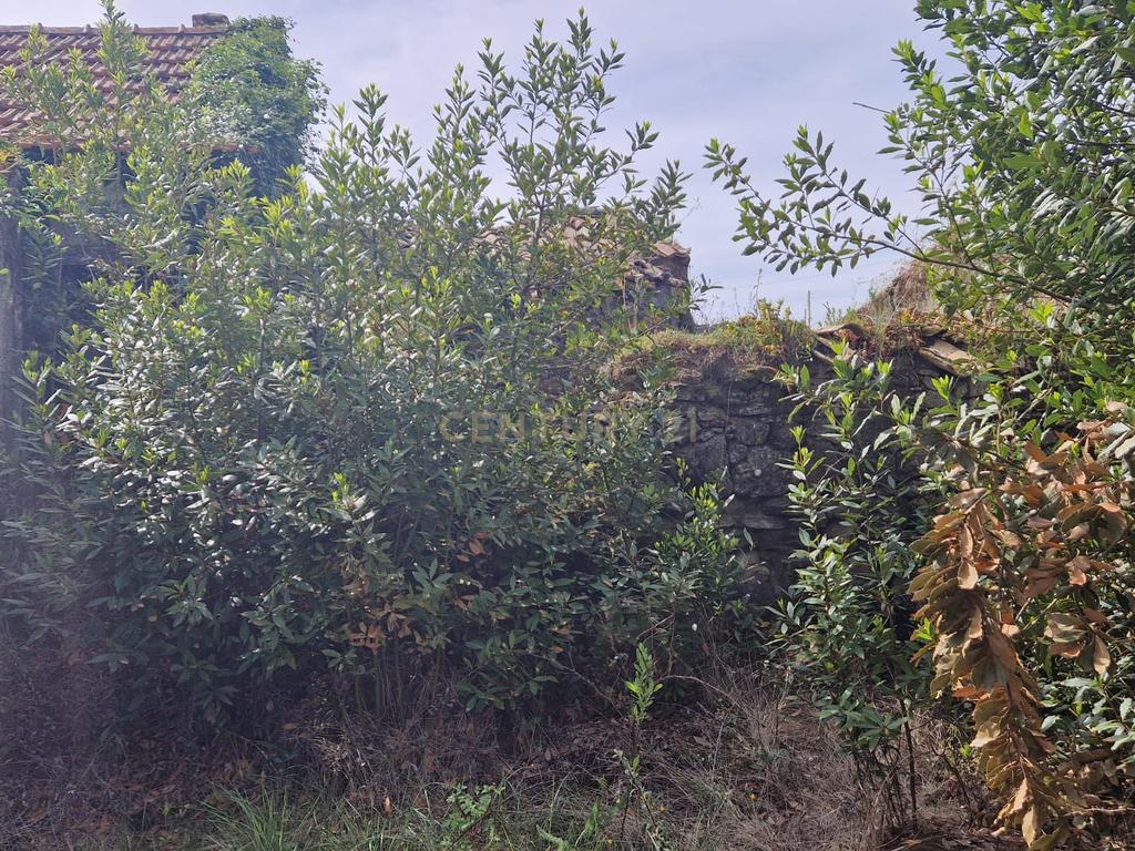 Fantástica Casa de Pedra - Colmeias - Image 19