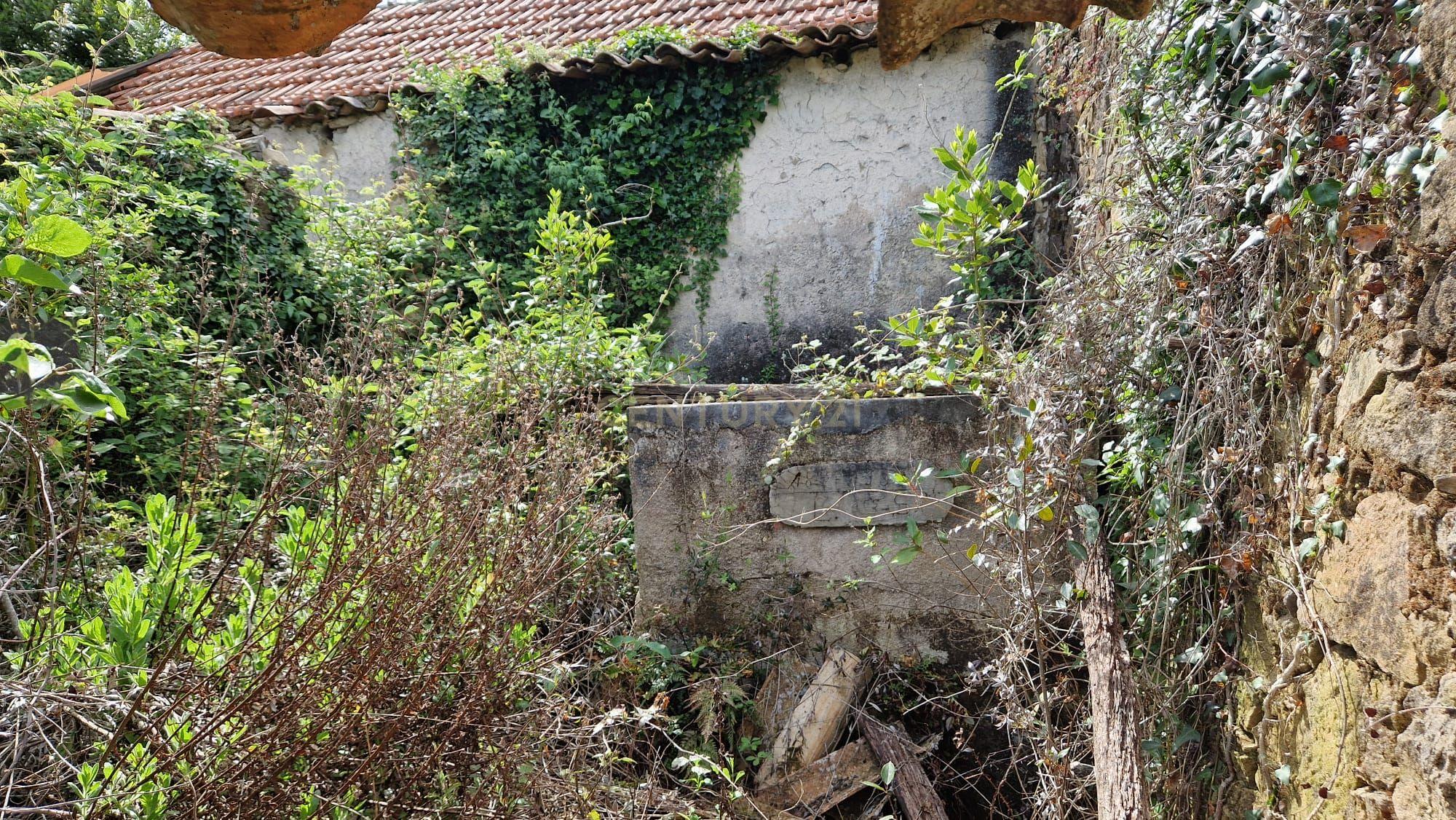 Fantástica Casa de Pedra - Colmeias - Image 17