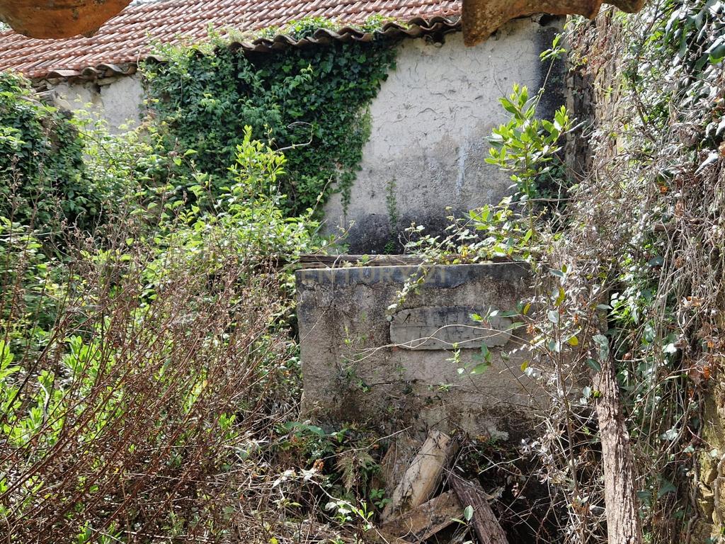 Fantástica Casa de Pedra - Colmeias - Image 17