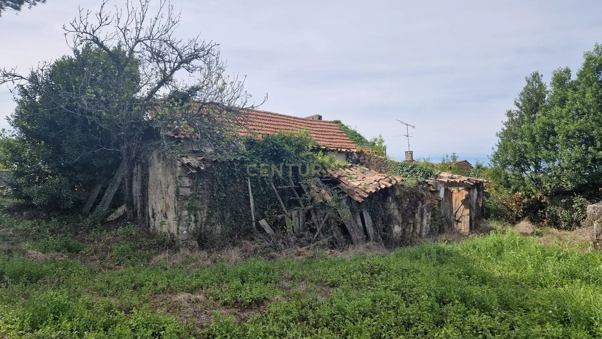 Fantástica Casa de Pedra - Colmeias - Image 6