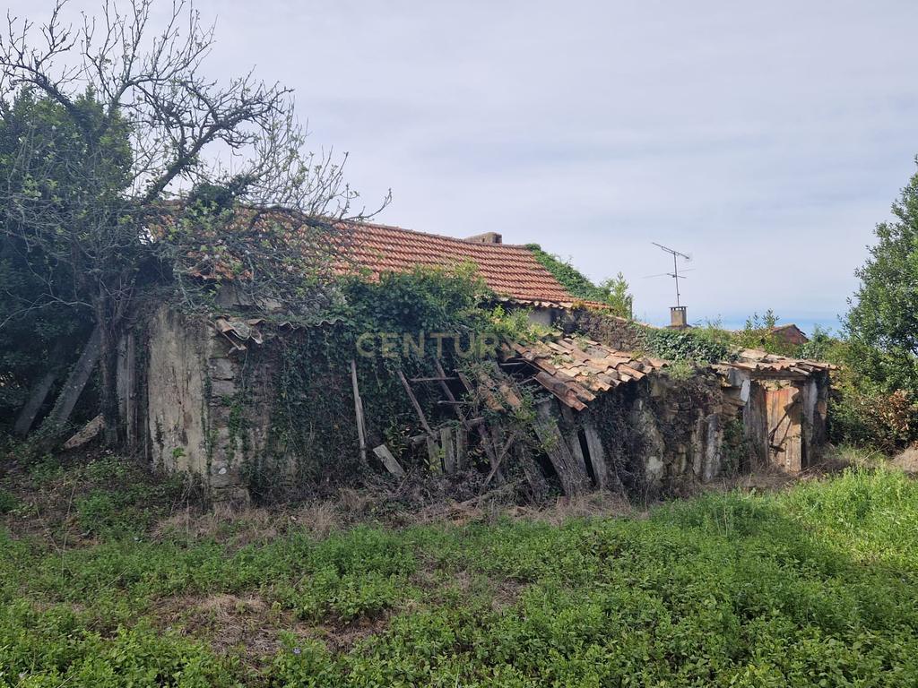 Fantástica Casa de Pedra - Colmeias - Image 6