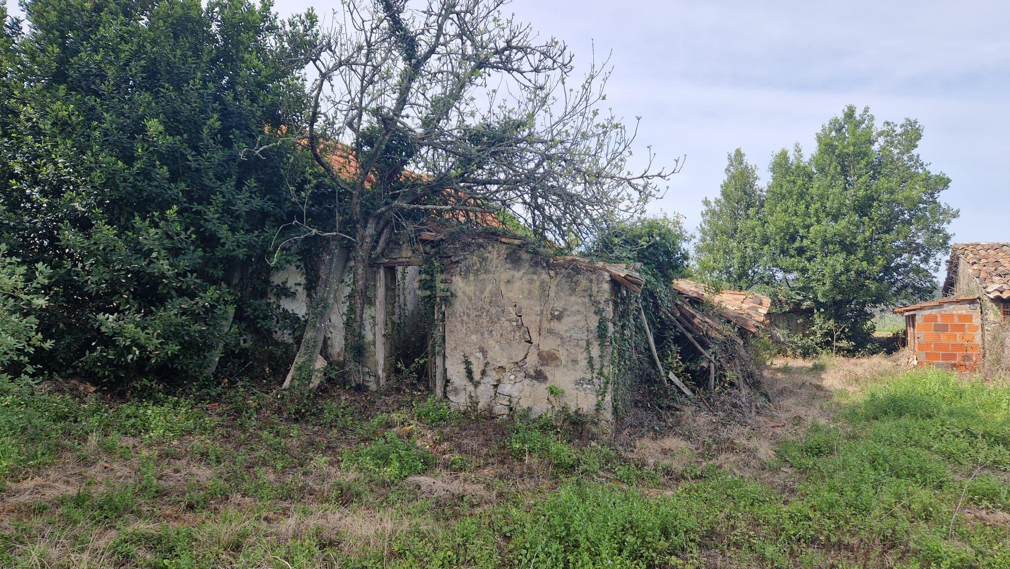Fantástica Casa de Pedra - Colmeias - Image 15