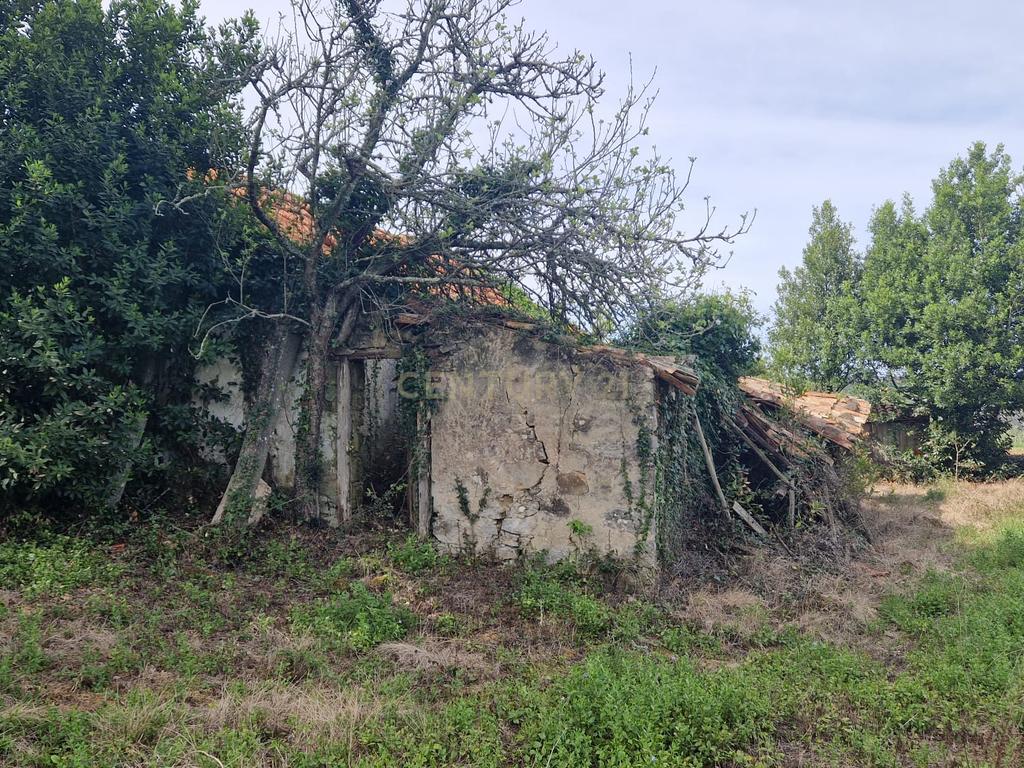Fantástica Casa de Pedra - Colmeias - Image 15