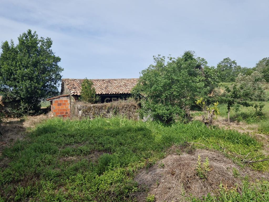Fantástica Casa de Pedra - Colmeias - Image 11