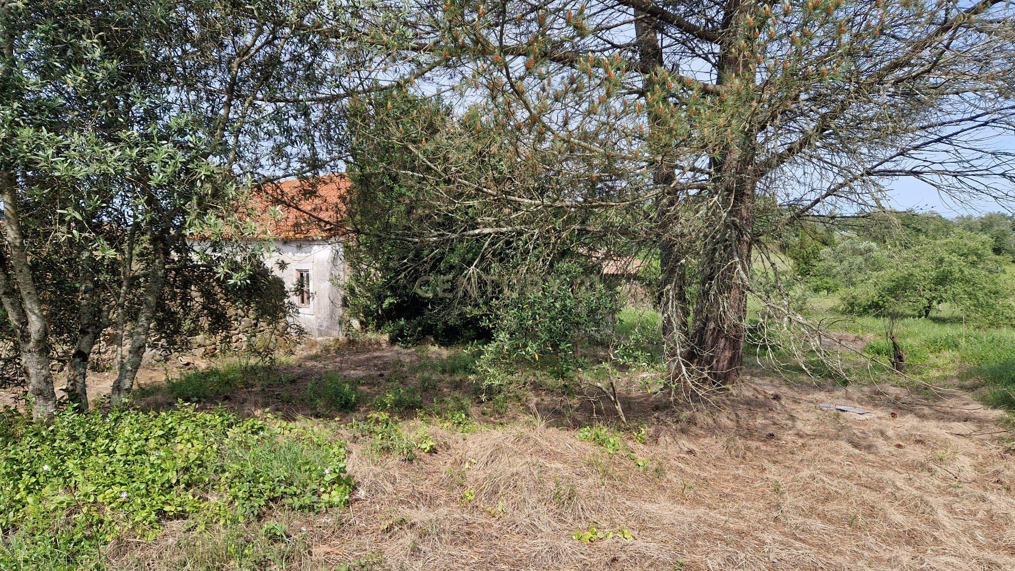 Fantástica Casa de Pedra - Colmeias - Image 10