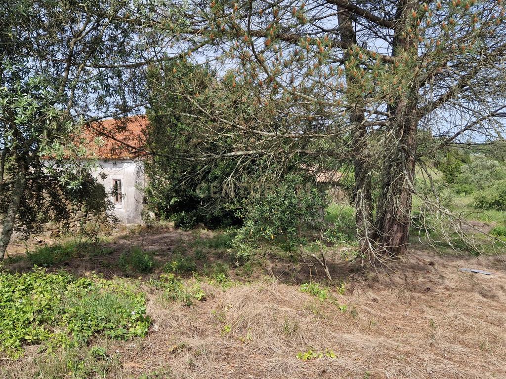 Fantástica Casa de Pedra - Colmeias - Image 10