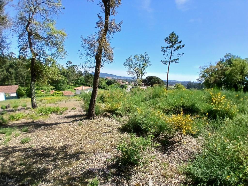 Terreno: "Bouça de Manteiros", ou "das Fontainhas" - Image 22