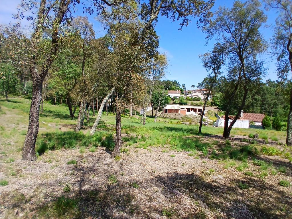 Terreno: "Bouça de Manteiros", ou "das Fontainhas" - Image 23