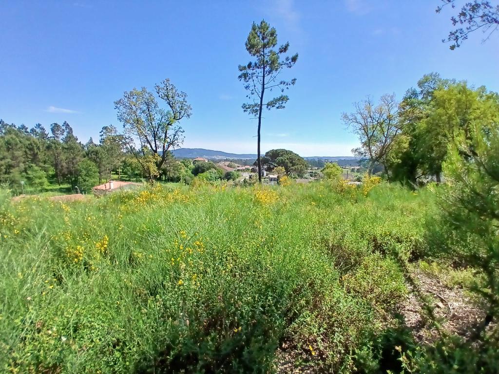 Terreno: "Bouça de Manteiros", ou "das Fontainhas" - Image 24