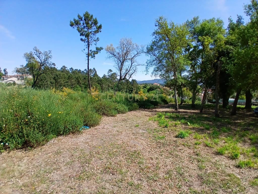 Terreno: "Bouça de Manteiros", ou "das Fontainhas" - Image 6