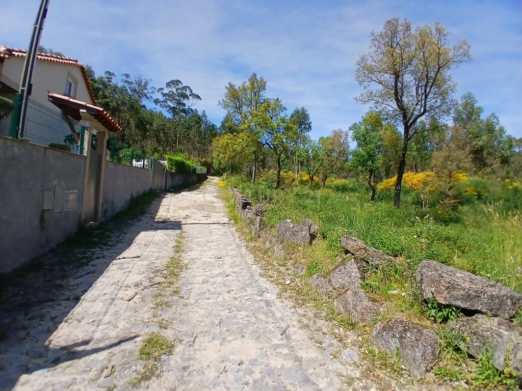 Terreno: "Bouça de Manteiros", ou "das Fontainhas" - Image 8