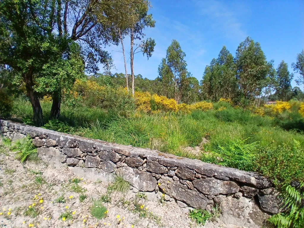 Terreno: "Bouça de Manteiros", ou "das Fontainhas" - Image 10