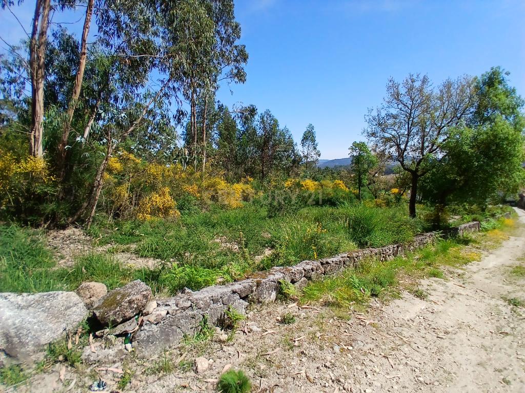 Terreno: "Bouça de Manteiros", ou "das Fontainhas" - Image 18