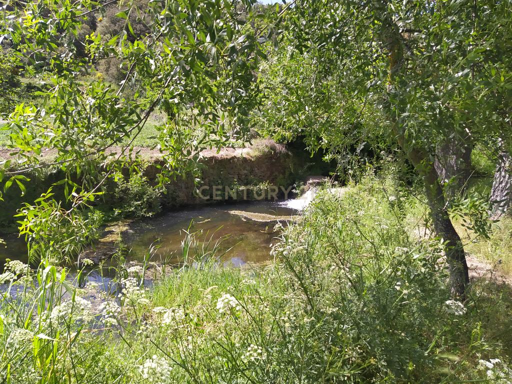 Moradia para recuperar - Veigas (Quintanilha) - Image 9