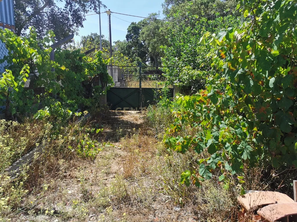 Terreno Urbano 1250m2 urbanos Olhos de Agua - Palmela Venha construir a sua casa de Sonho! - Image 2