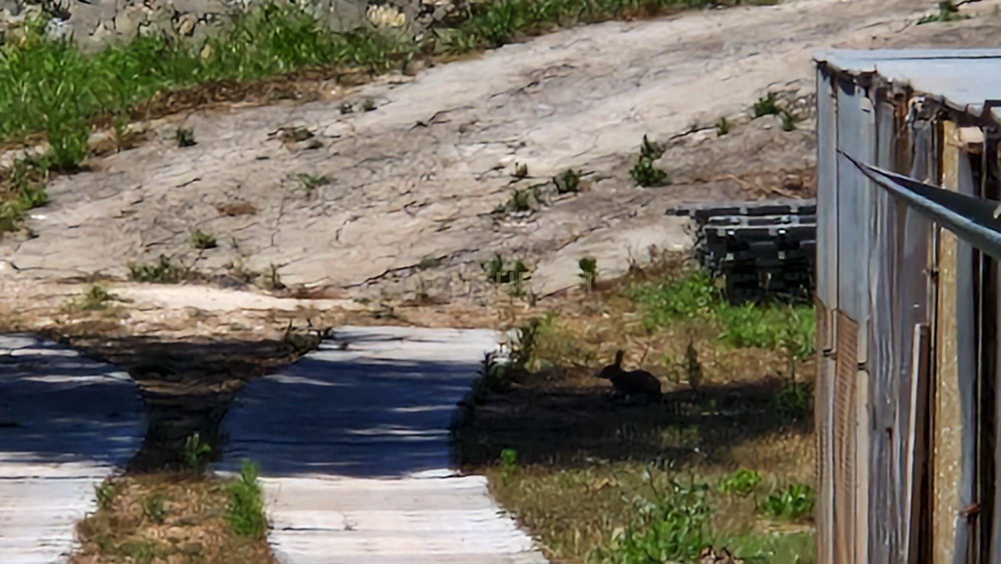 Moradia e lote de terreno com 2.771 m2 | Barcarena - Image 20