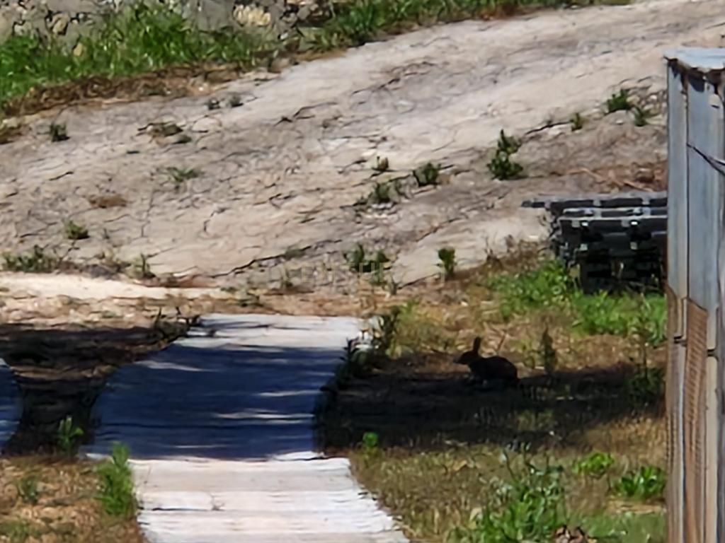 Moradia e lote de terreno  com 2.771 m2  | Barcarena - Image 20