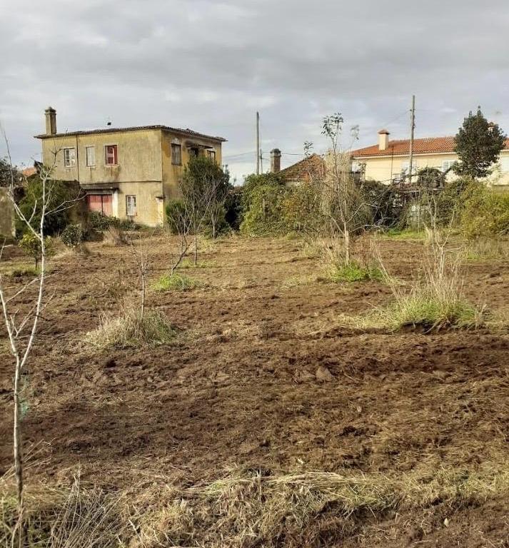 Moradia para Investimento em Espinho - Image 4