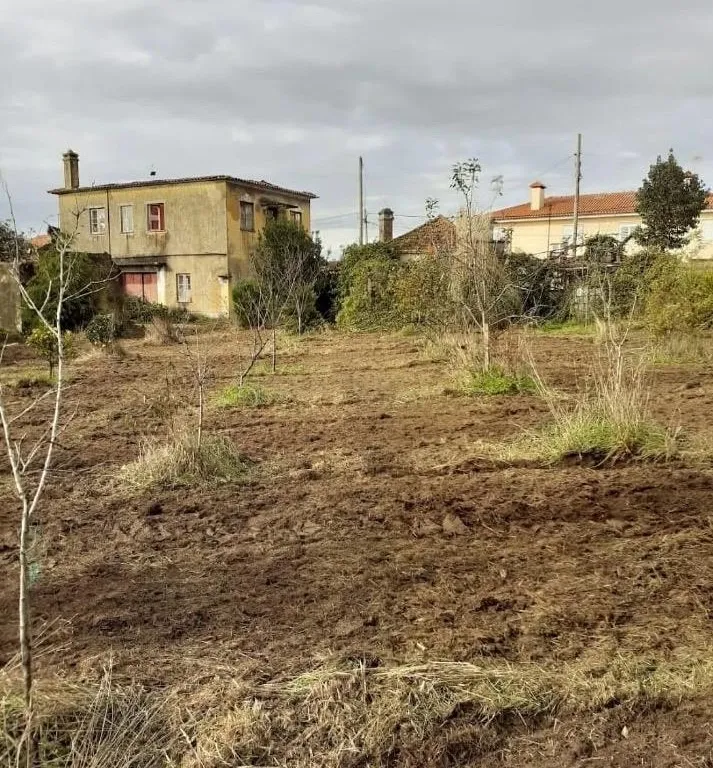 Moradia para Investimento em Espinho - Image 4