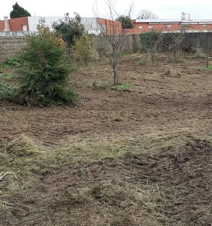 Moradia para Investimento em Espinho - Image 11