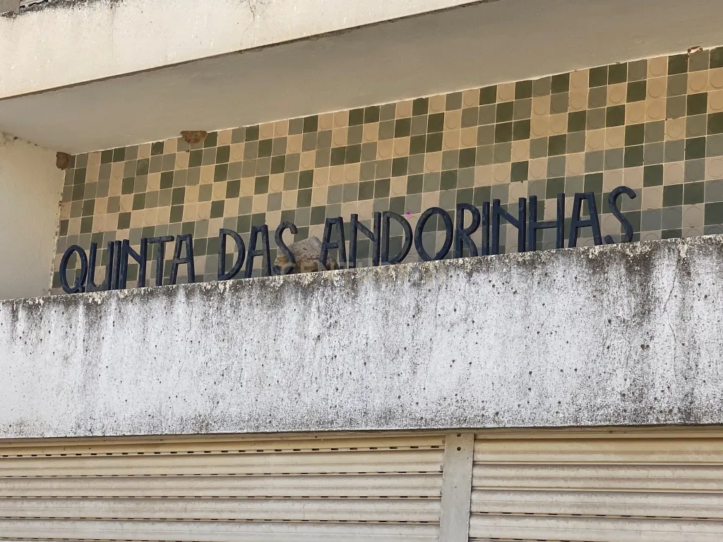 Clássica Quinta com sete quartos - Image 4
