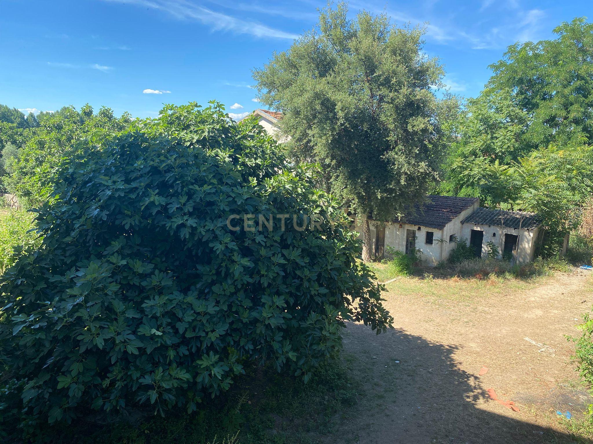 Clássica Quinta com sete quartos - Image 18