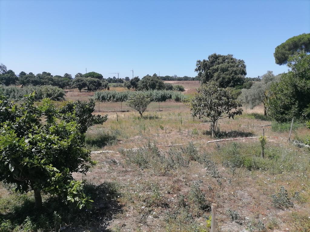 Quintinha T3 Pinhal Novo - Image 34