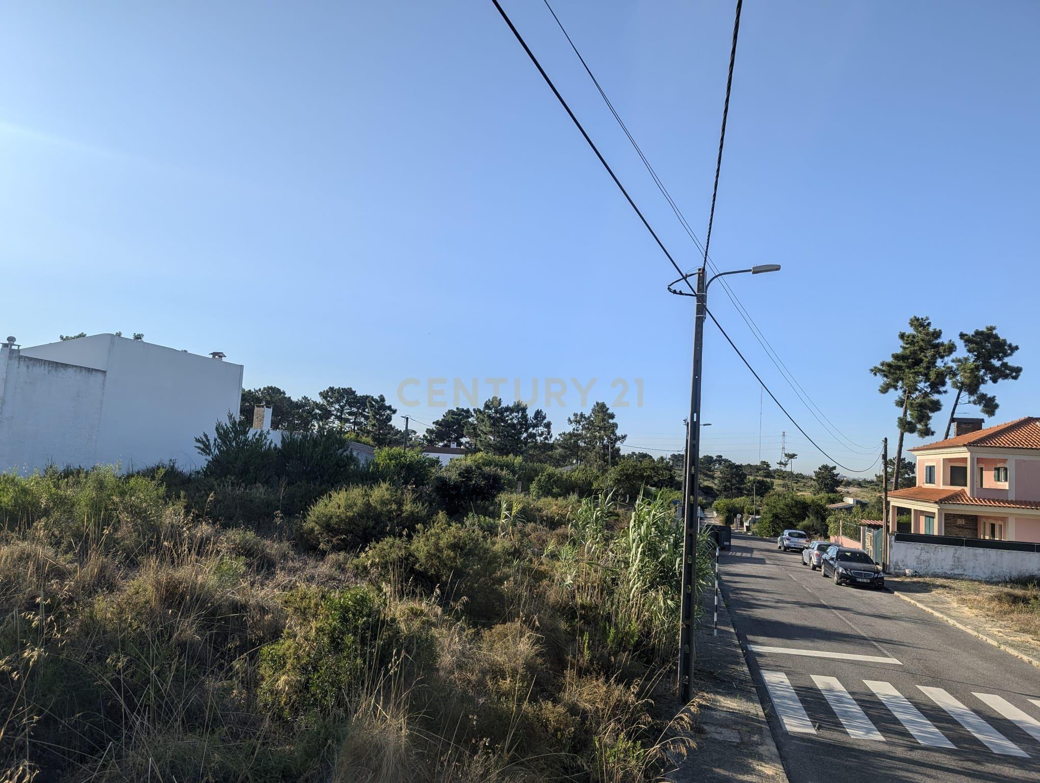 Terreno Rústico – Pinhal Conde da Cunha - Image 4