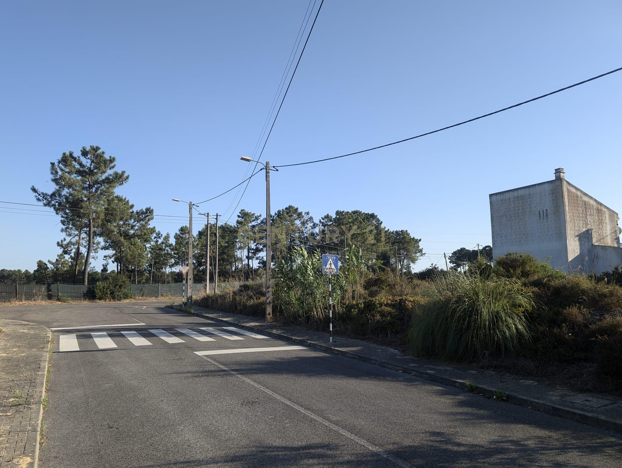 Terreno Rústico – Pinhal Conde da Cunha - Image 3
