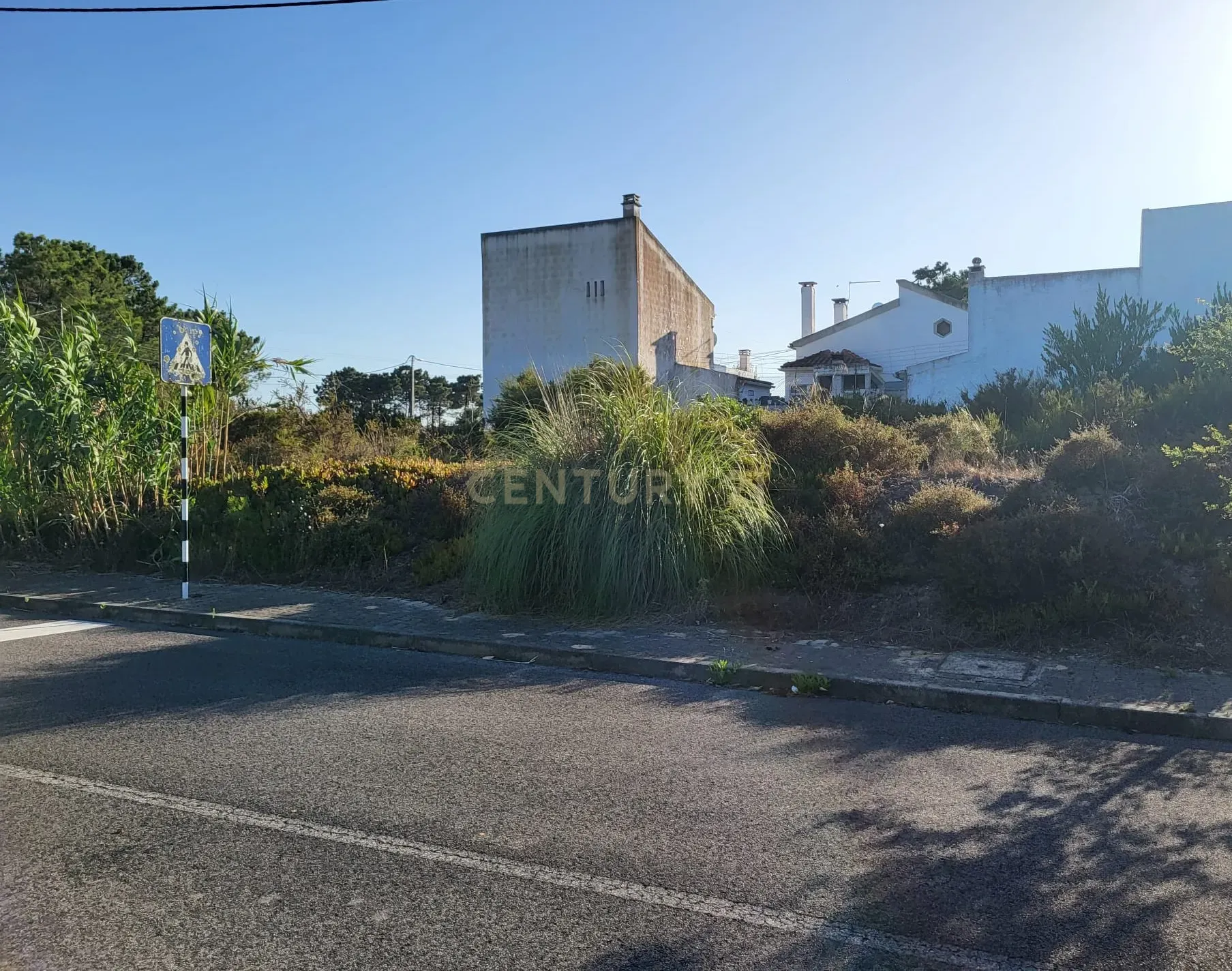 Terreno Rústico – Pinhal Conde da Cunha - Image 1