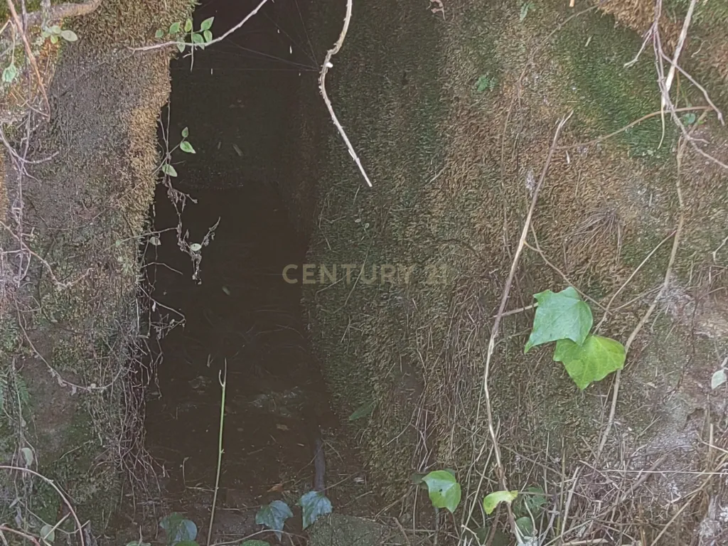 Casa Antiga para Recuperação em Eiras, Arcos de Valdevez - Image 5