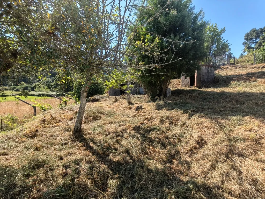 Casa Antiga para Recuperação em Eiras, Arcos de Valdevez - Image 14