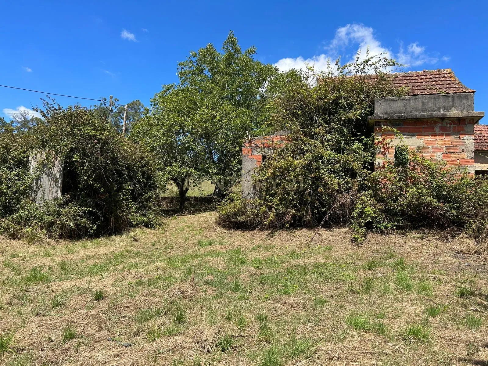 Terreno para construção em Santo Elói - Image 38