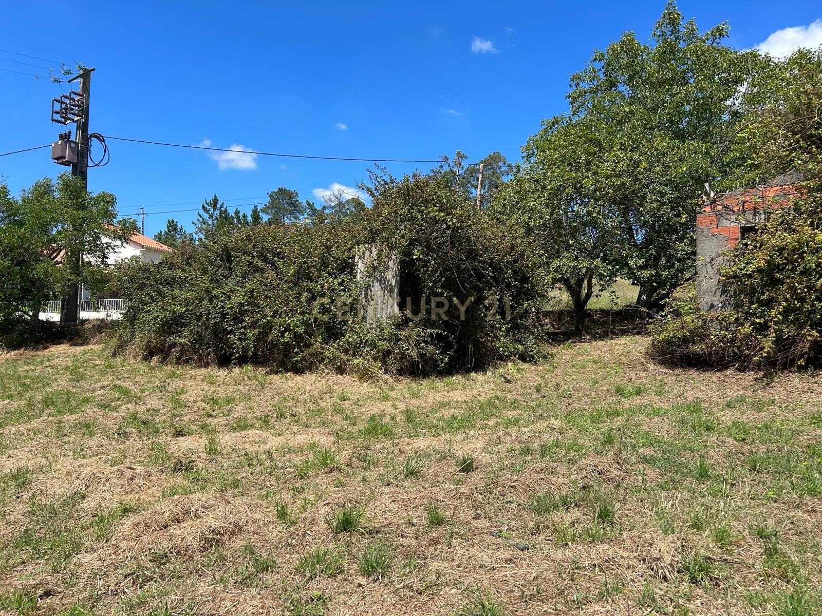 Terreno para construção em Santo Elói - Image 3
