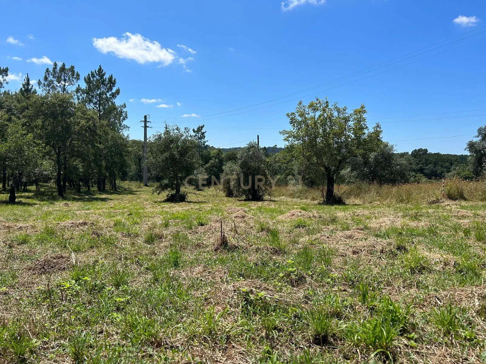 Terreno para construção em Santo Elói - Image 24