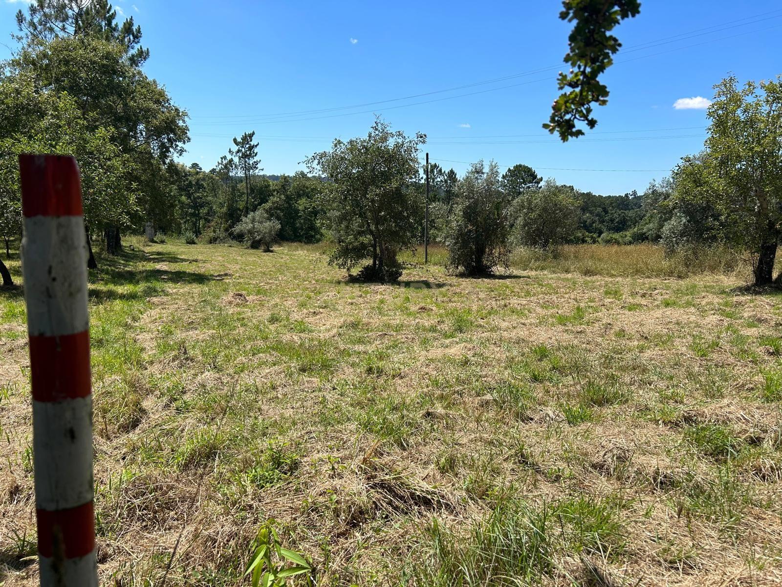 Terreno para construção em Santo Elói - Image 35