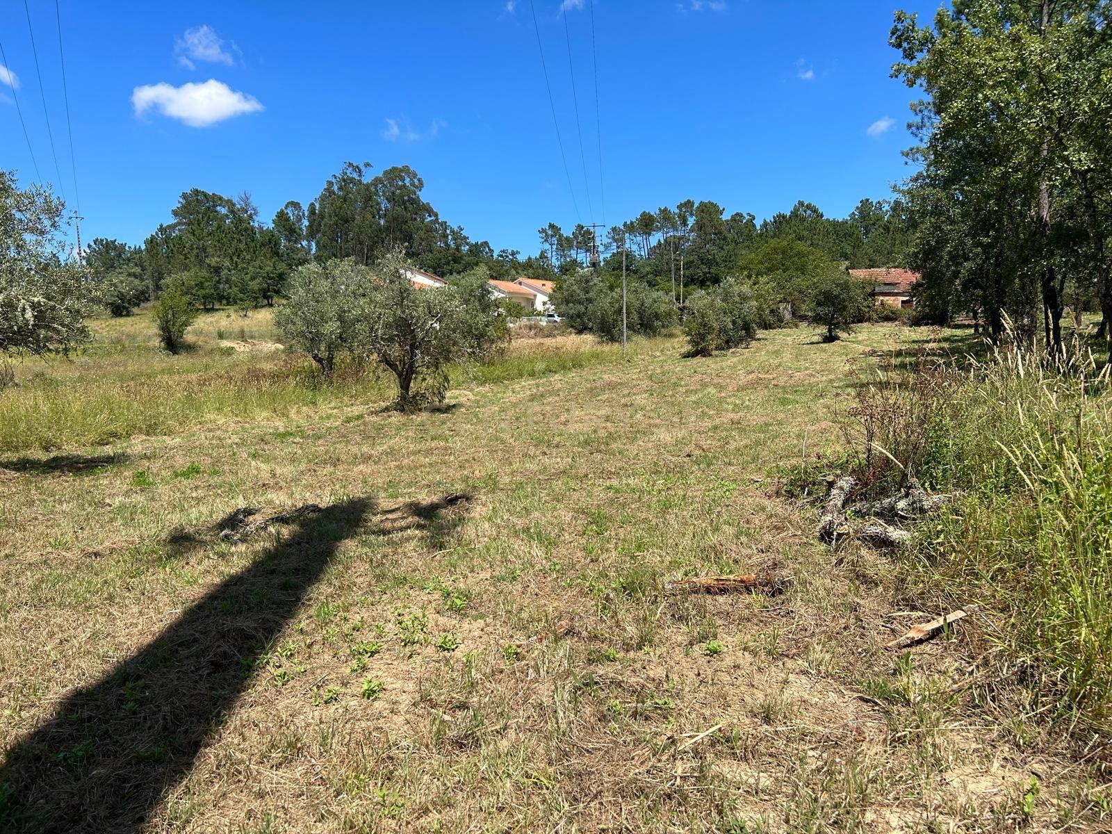 Terreno para construção em Santo Elói - Image 37