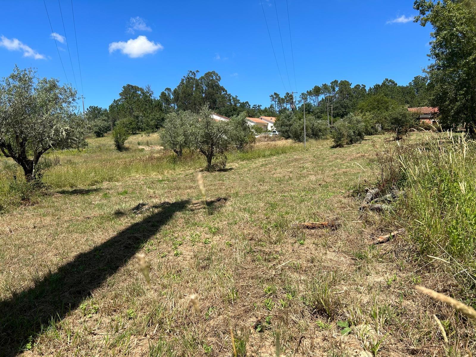 Terreno para construção em Santo Elói - Image 14