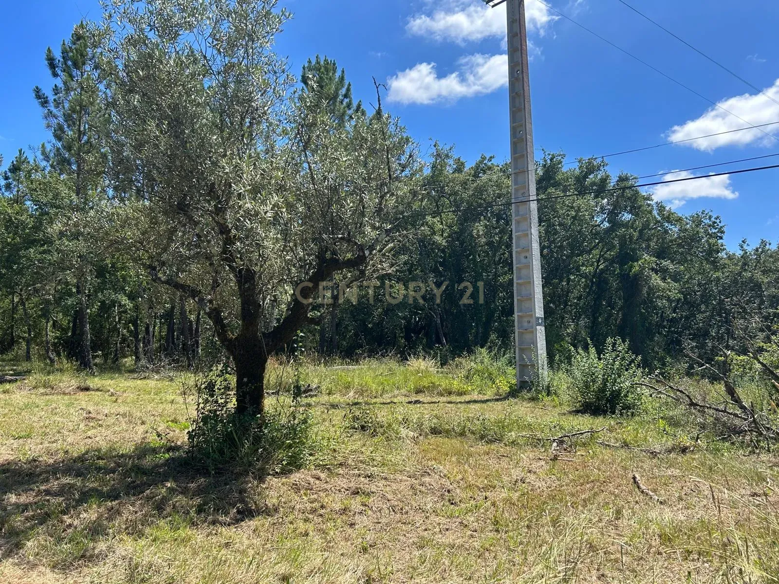 Terreno para construção em Santo Elói - Image 15