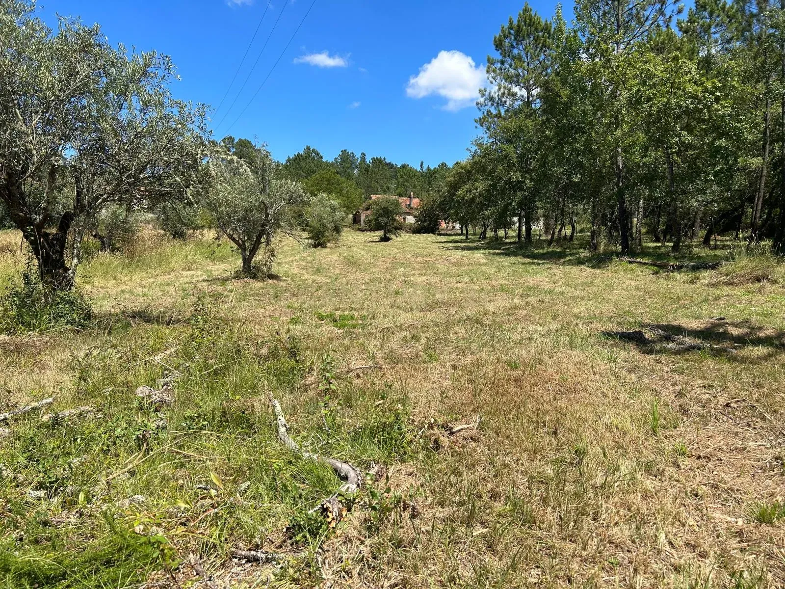 Terreno para construção em Santo Elói - Image 19