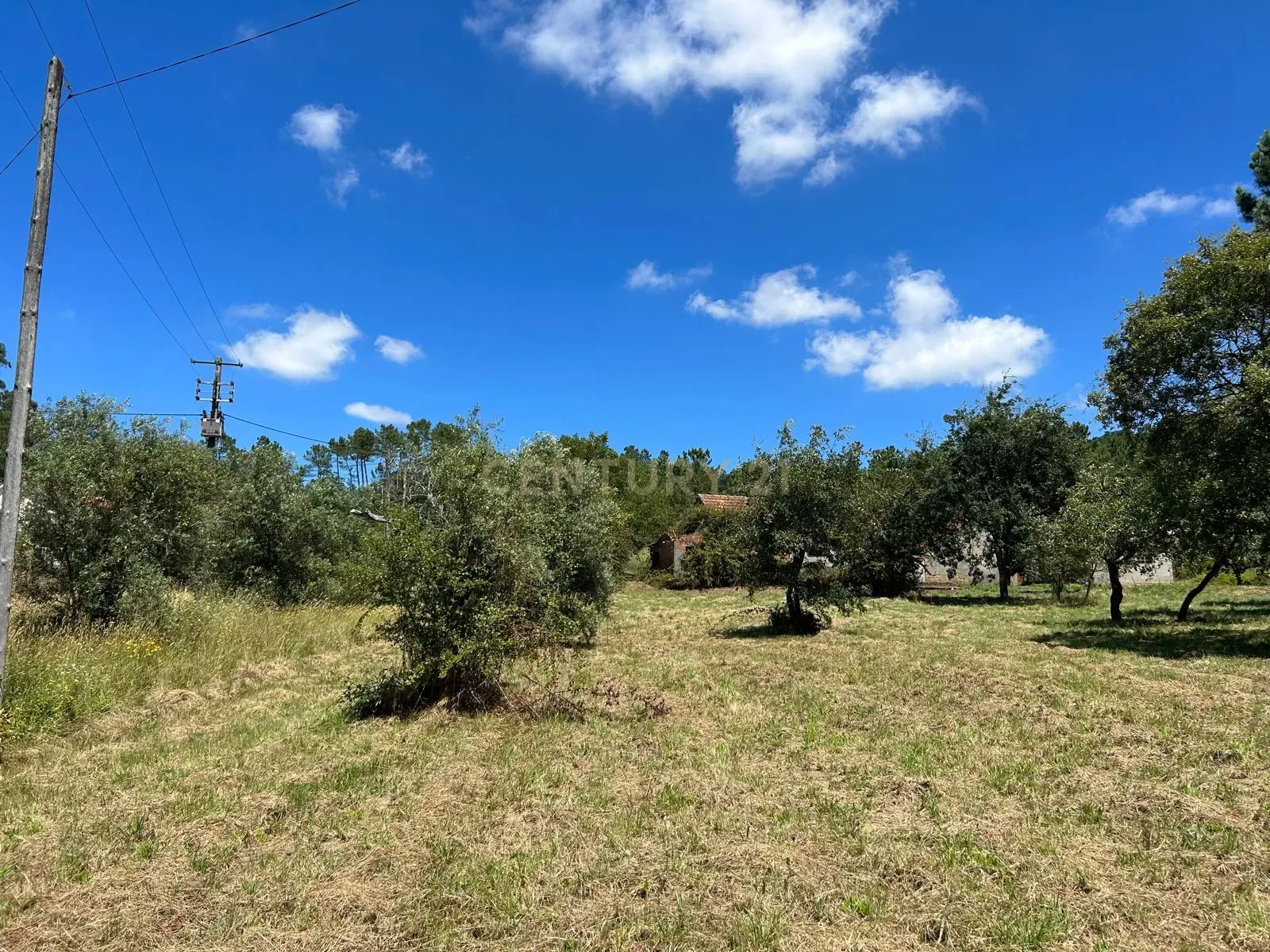 Terreno para construção em Santo Elói - Image 1