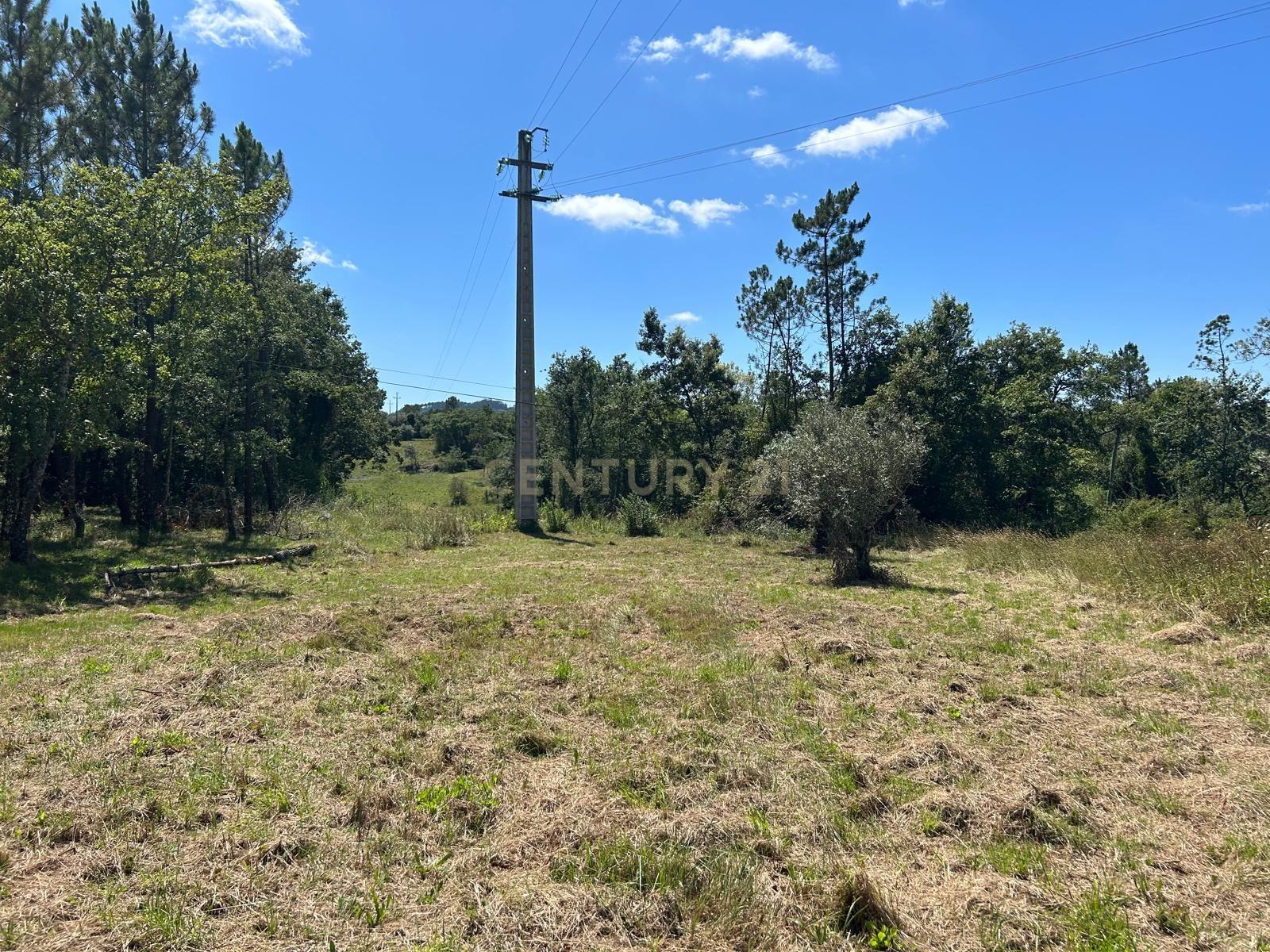 Terreno para construção em Santo Elói - Image 21