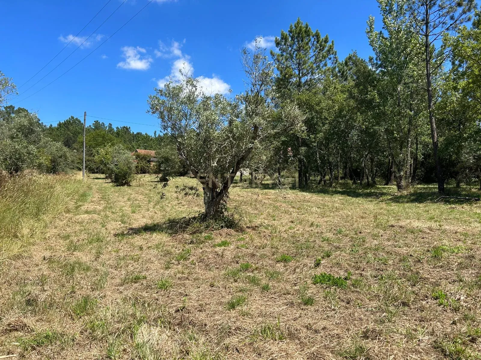 Terreno para construção em Santo Elói - Image 22