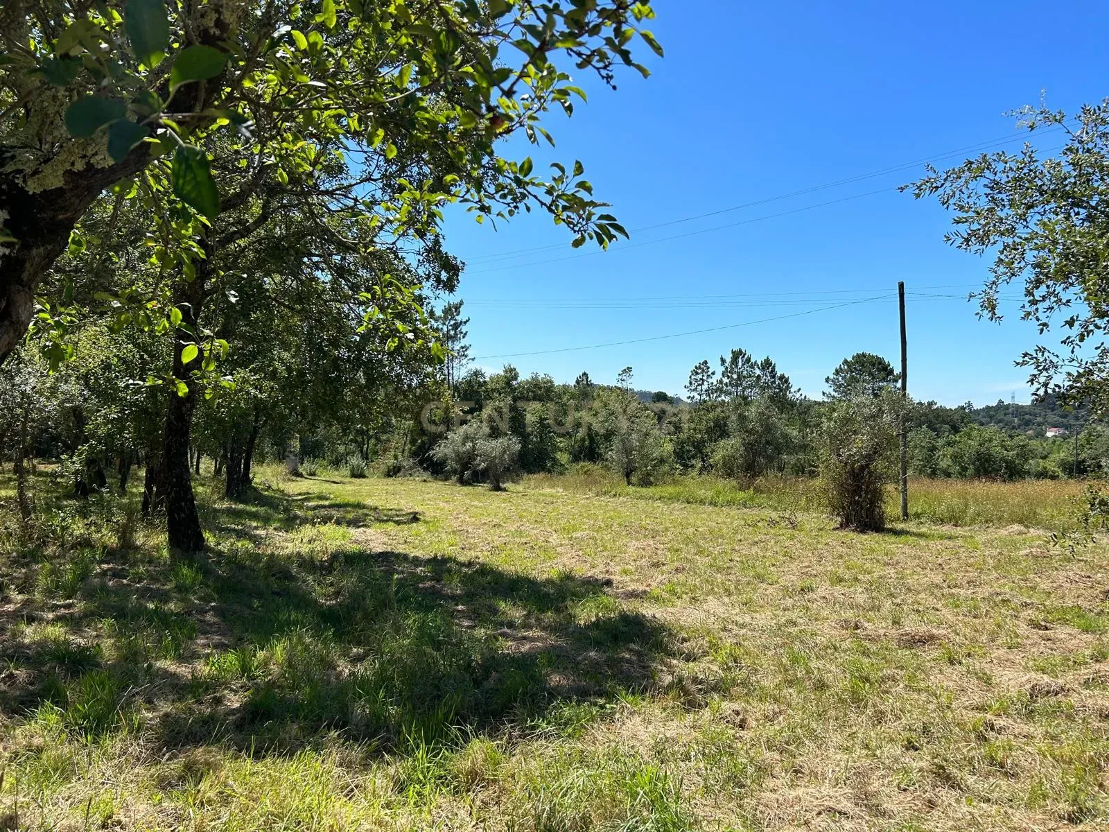 Terreno para construção em Santo Elói - Image 23